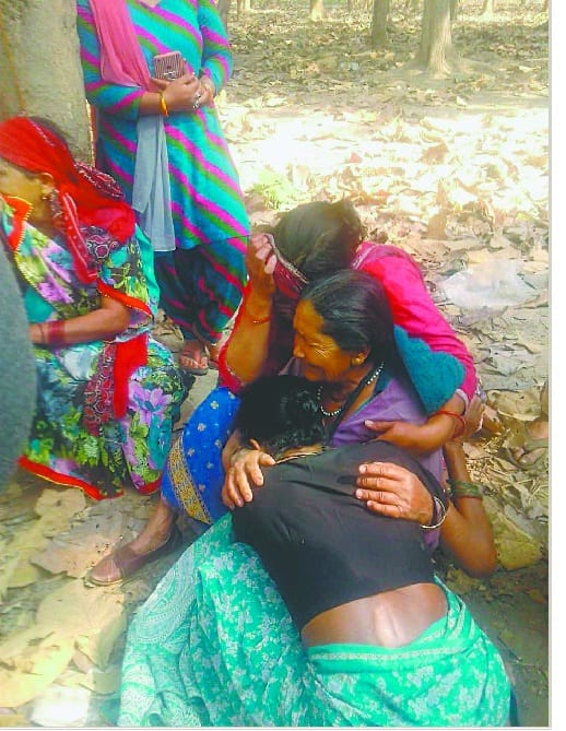 elephant Crushed to death a youth
