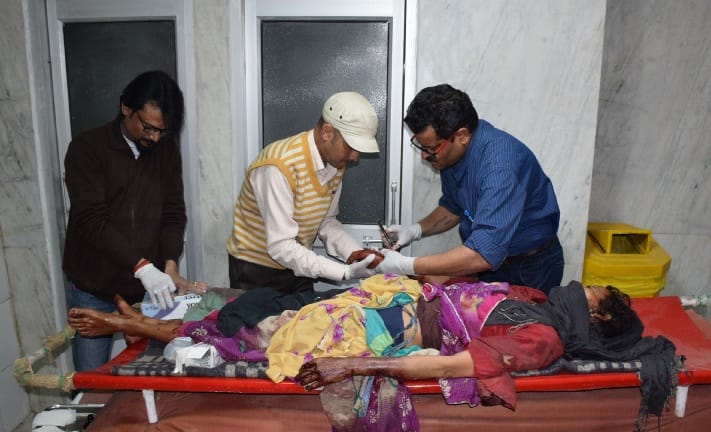 Wild pig injured two people