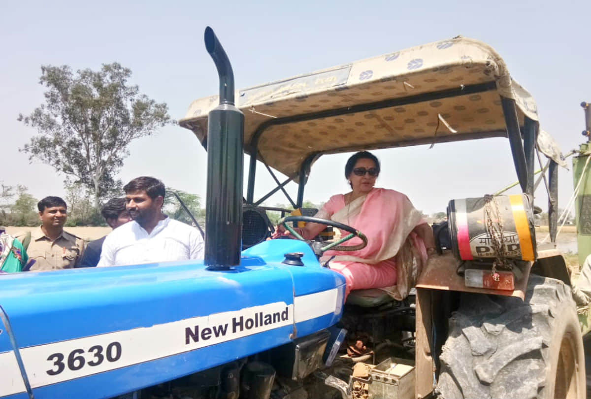 Hema Malini election campaign she Drive Tractor and Harvesting Crop