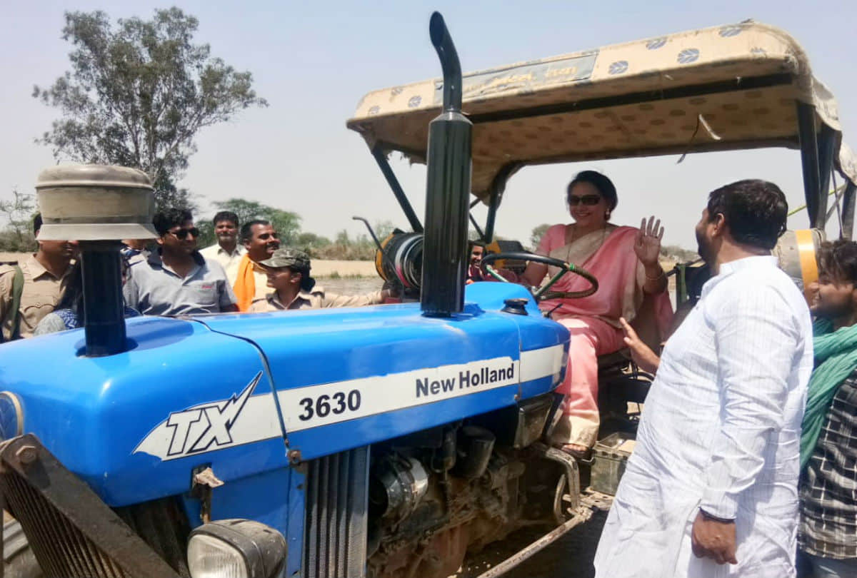 Hema Malini drive tractor in the farm after harvesting wheat crop photos viral