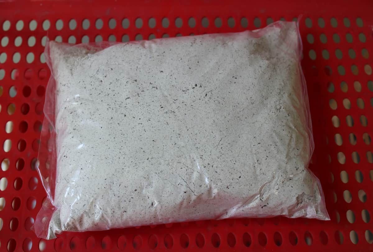 Navratri 2019: benefits of kuttu ka atta nutritious facts and recipe