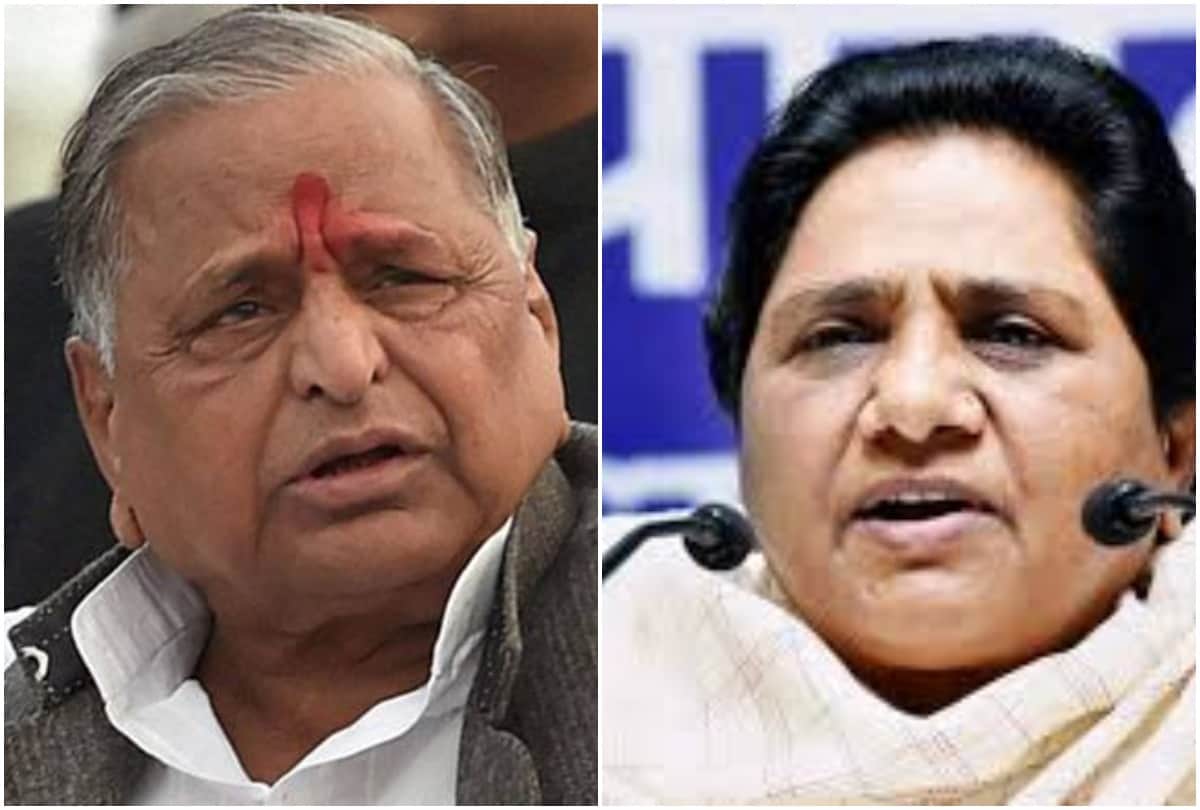 Lok Sabha Elections 2019: Samajwadi party political journey from Mulayam to Akhilesh