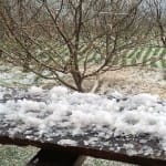 hailstorm and storm warning for himachal from 10 may