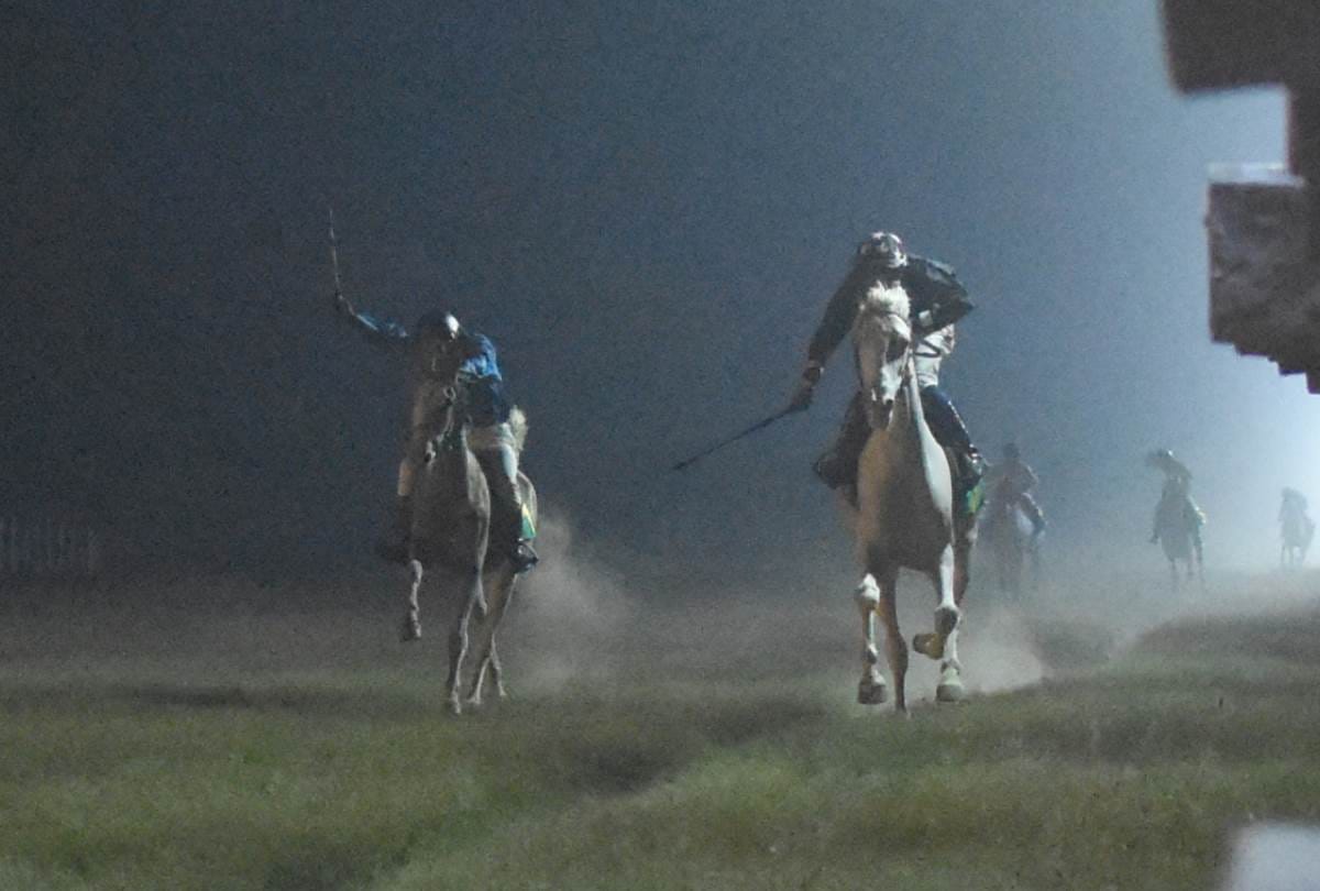 blueberry cheese cake  became champion in lucknow fund cup race