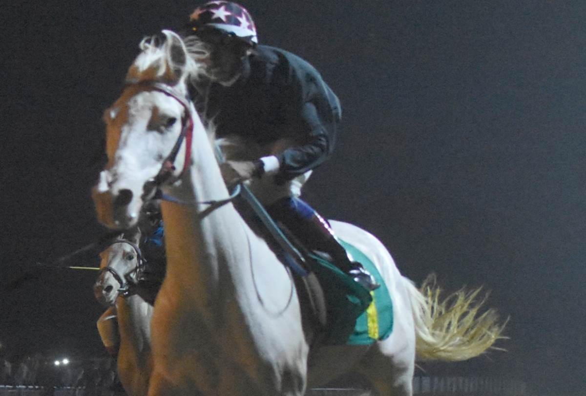 blueberry cheese cake  became champion in lucknow fund cup race