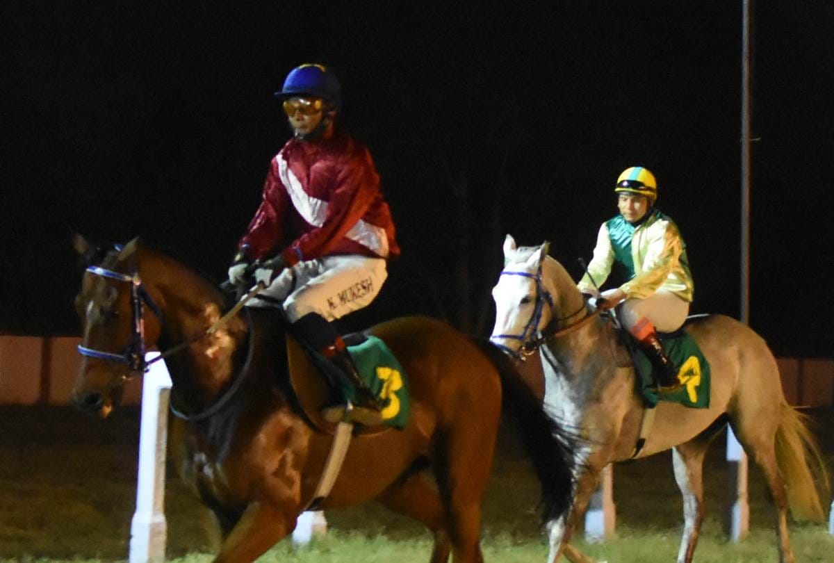 blueberry cheese cake  became champion in lucknow fund cup race