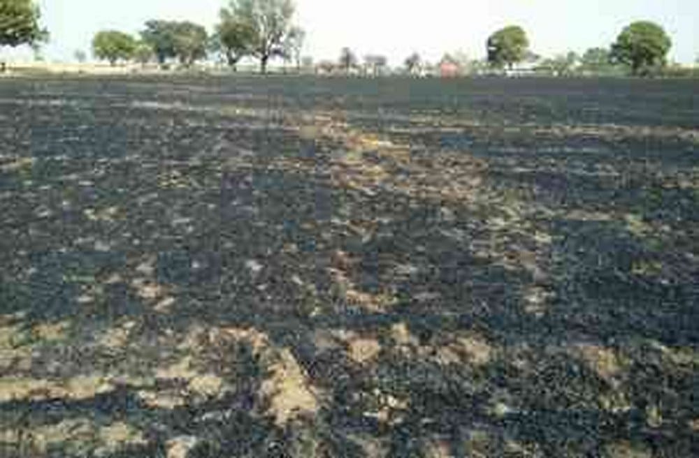 due to sparking wheat harvest burnt