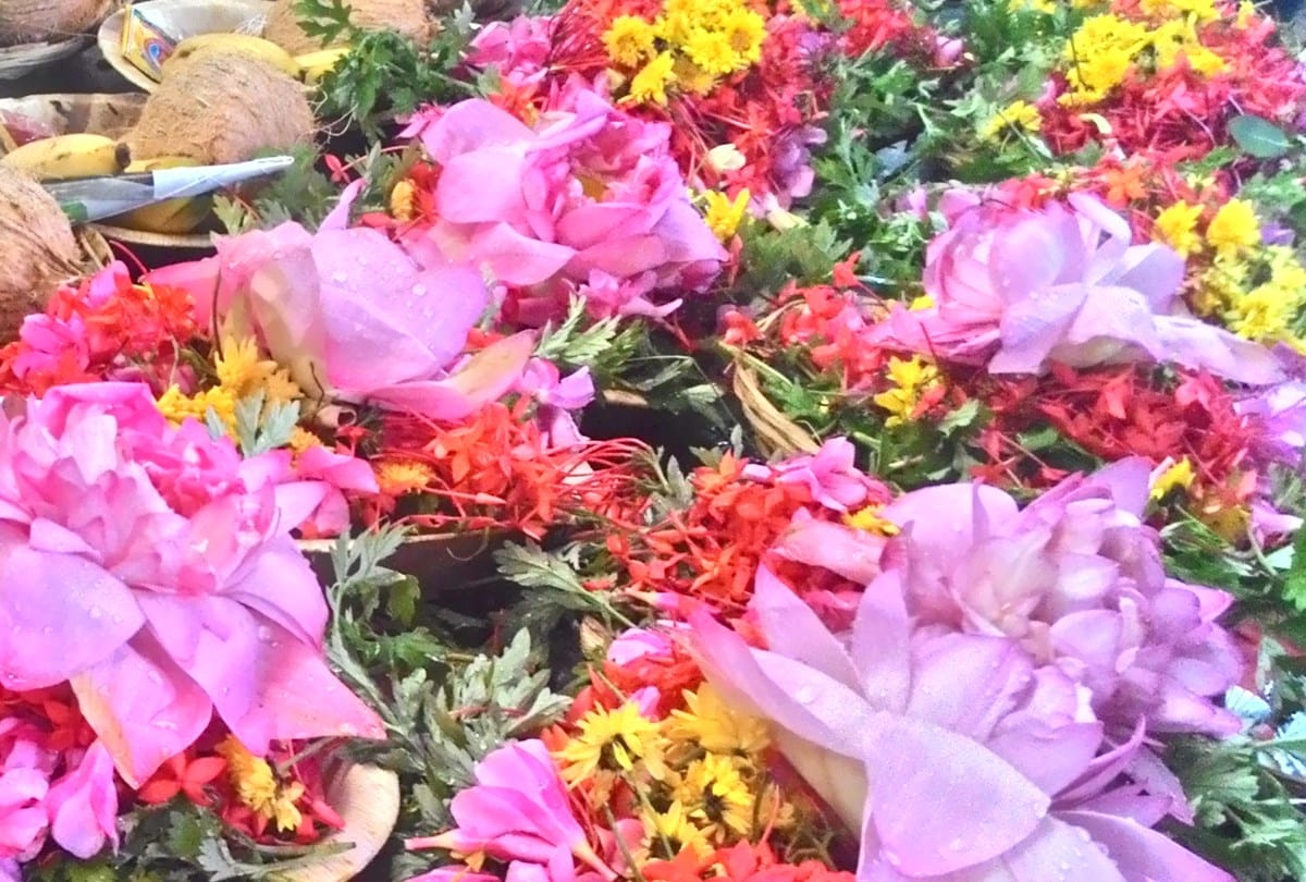 himachal pollution board seeks record of flowers in temples