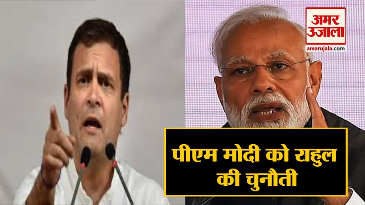 मोदी राहुल