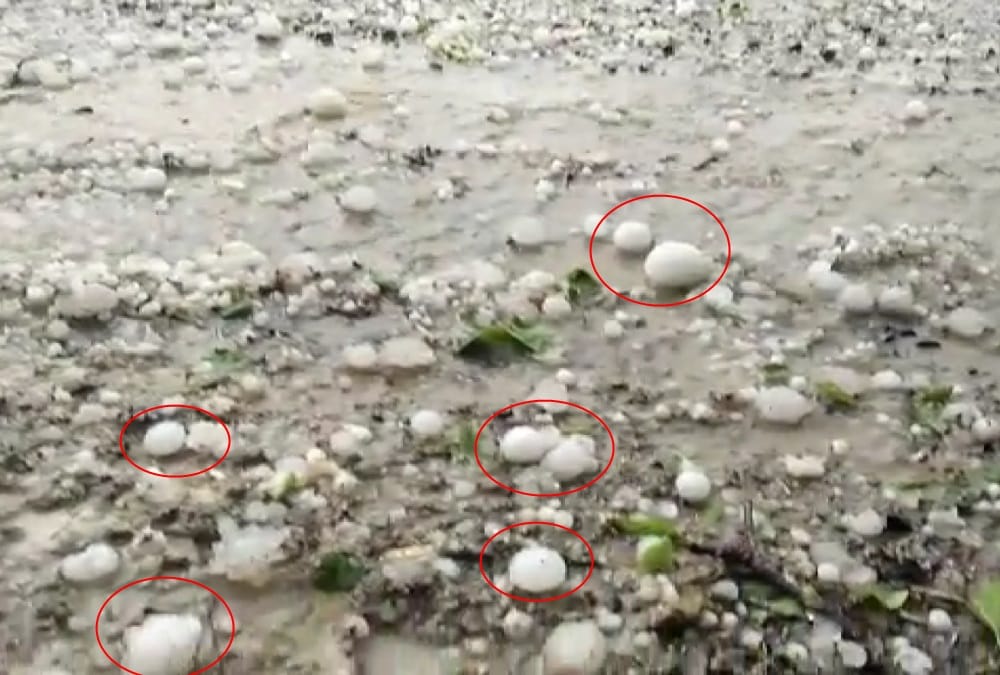 Heavy Hailstone rain in uttarakhand champawat and pithoragarh