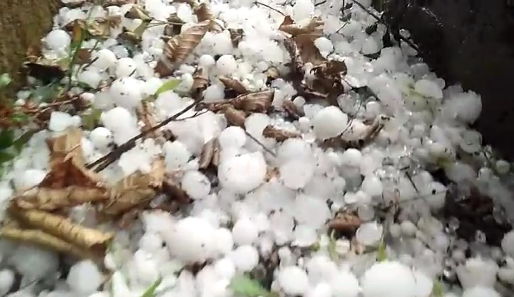 Heavy Hailstone rain in uttarakhand champawat and pithoragarh