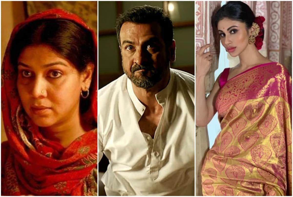 Sakshi Tanwar to Sushant Singh Rajput these tv actor gave 100 crore club film