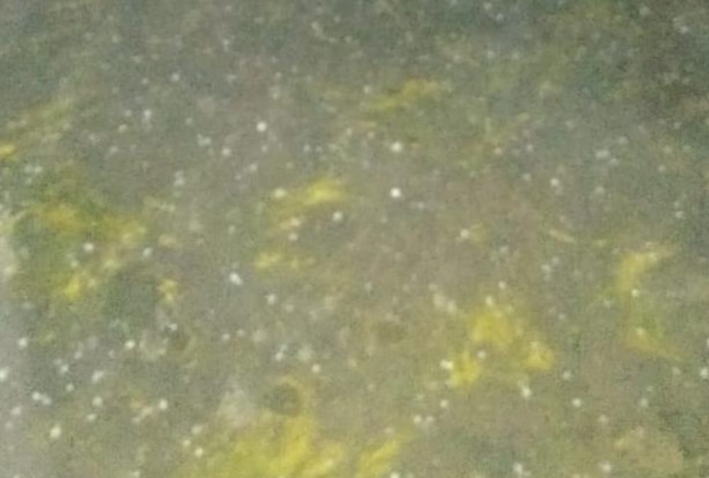 weather changes in lucknow and its nearby areas.
