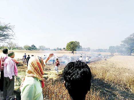 43 Wheat Crops Of Fire By Fire
