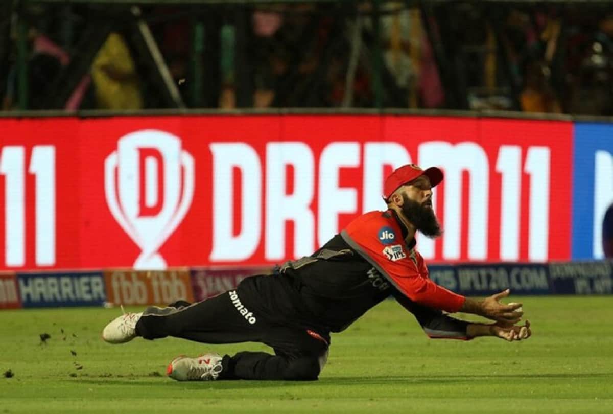 No balls and Drop catches is key to failure for Virat's Royal Challengers Bangalore