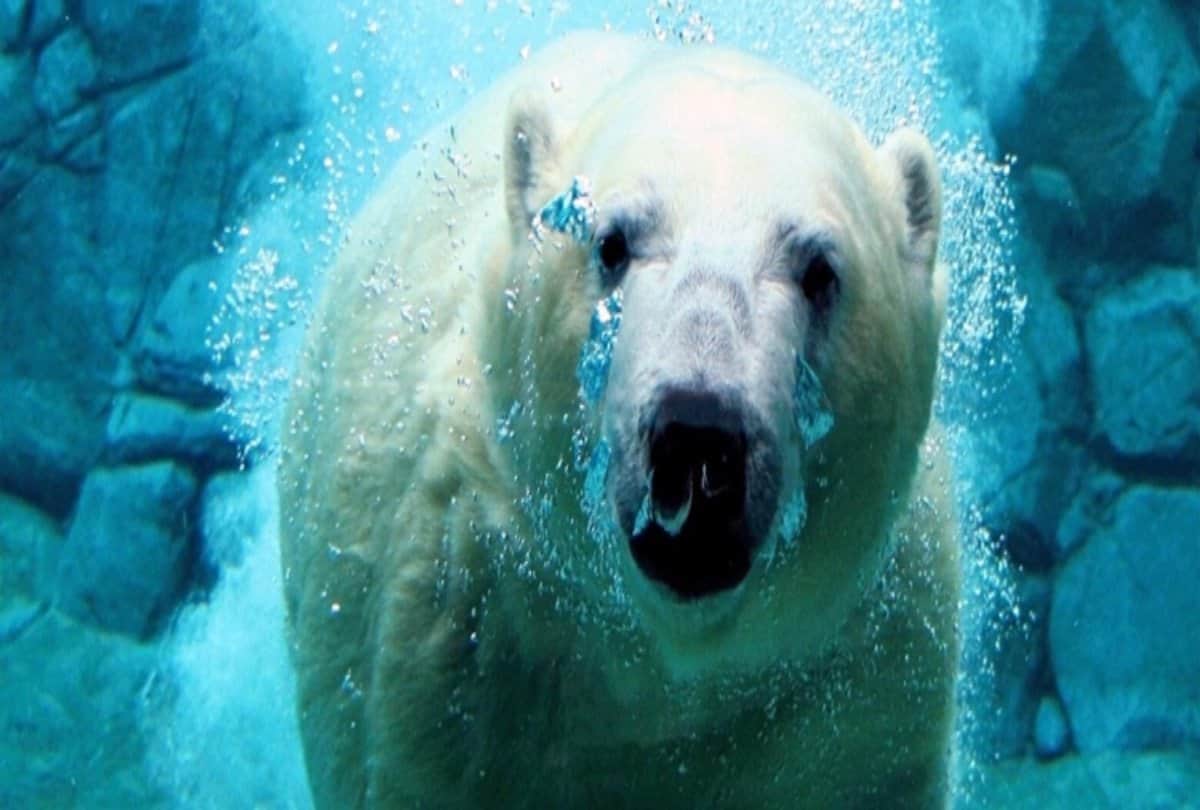 most dangerous tourist attraction in world tiger temple haiku stairs