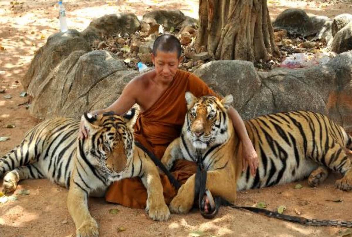 most dangerous tourist attraction in world tiger temple haiku stairs