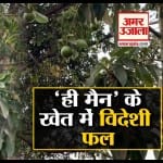 धर्मेंद्र