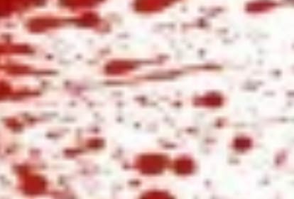 truth behind murder of a lady whose body part found in bag in krishna nagar in lucknow