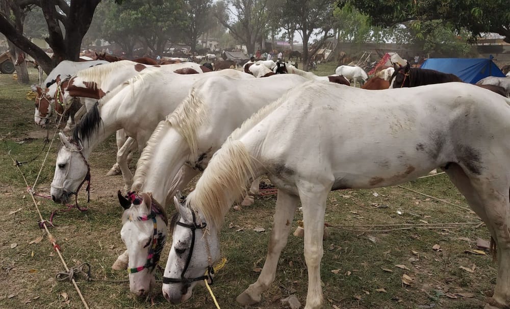 chaiti mela historical fair of uttarakhand