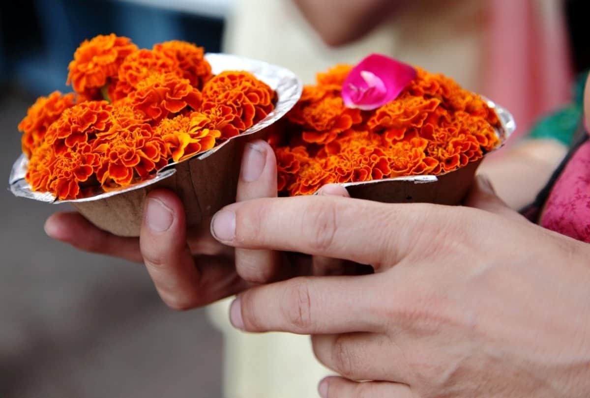 Chaitra Navratri 2019: kangra chamunda devi temple