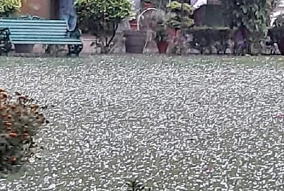 Kaithal and Rohtak air worst after storm