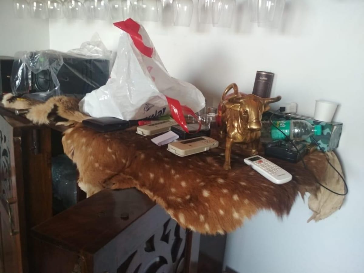 छापे में जानवरों की खाल और ट्रॉफियां बरामद