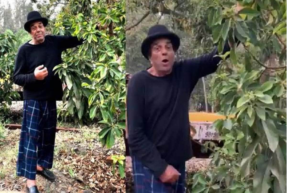 dharmendra share a new video from his farmhouse