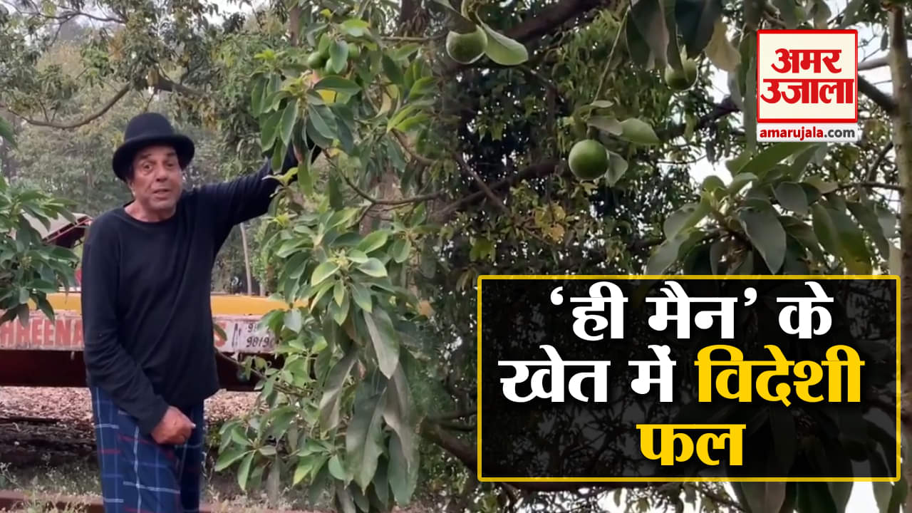 धर्मेंद्र