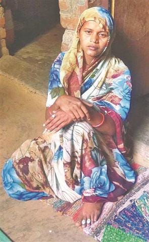 Dog picked up 23 days old, found dead