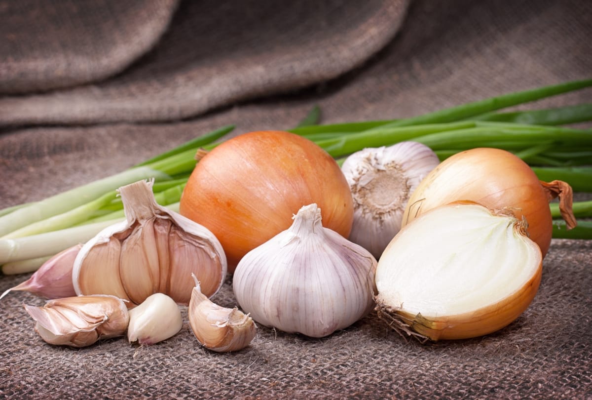 world homeopathy day 2019 know importance of treatment
