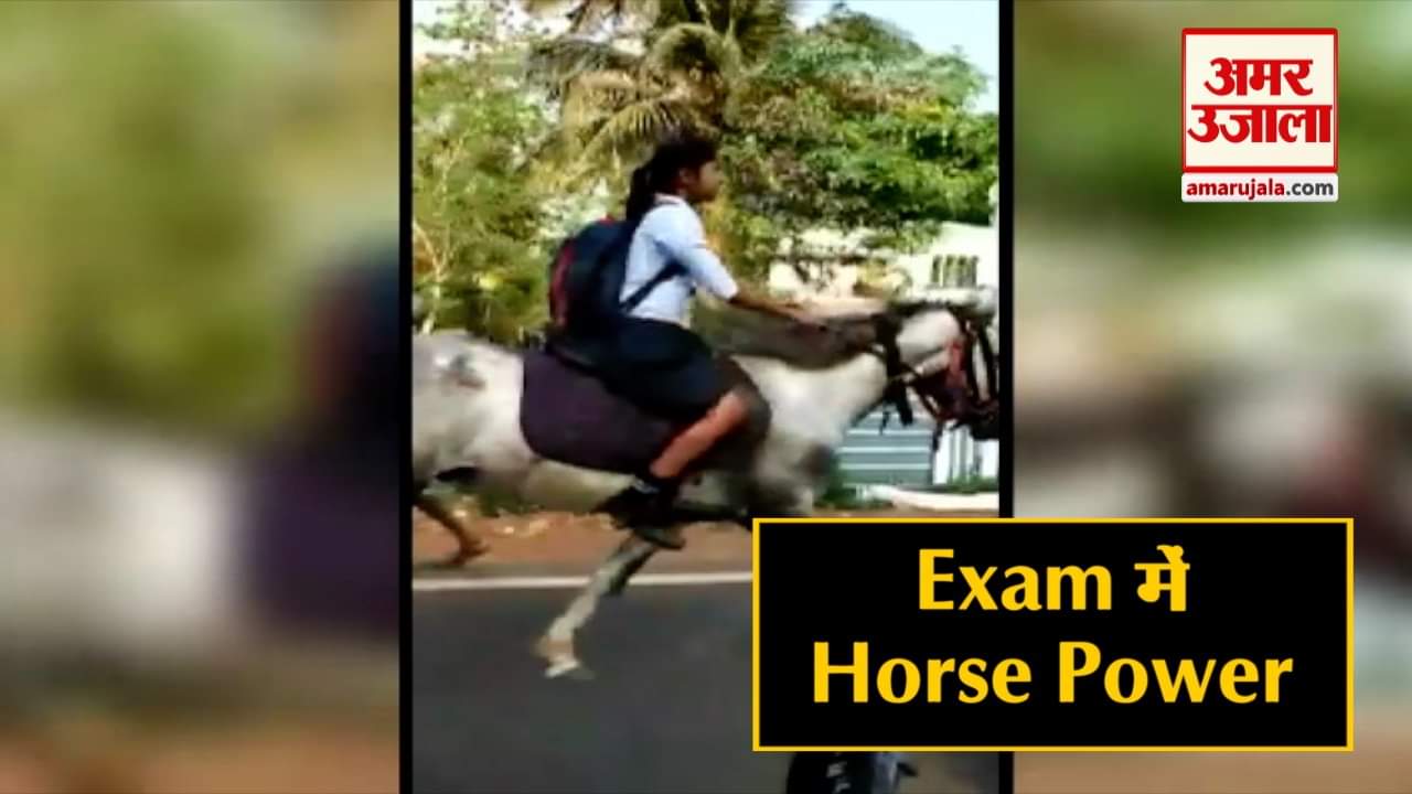 वायरल वीडियो