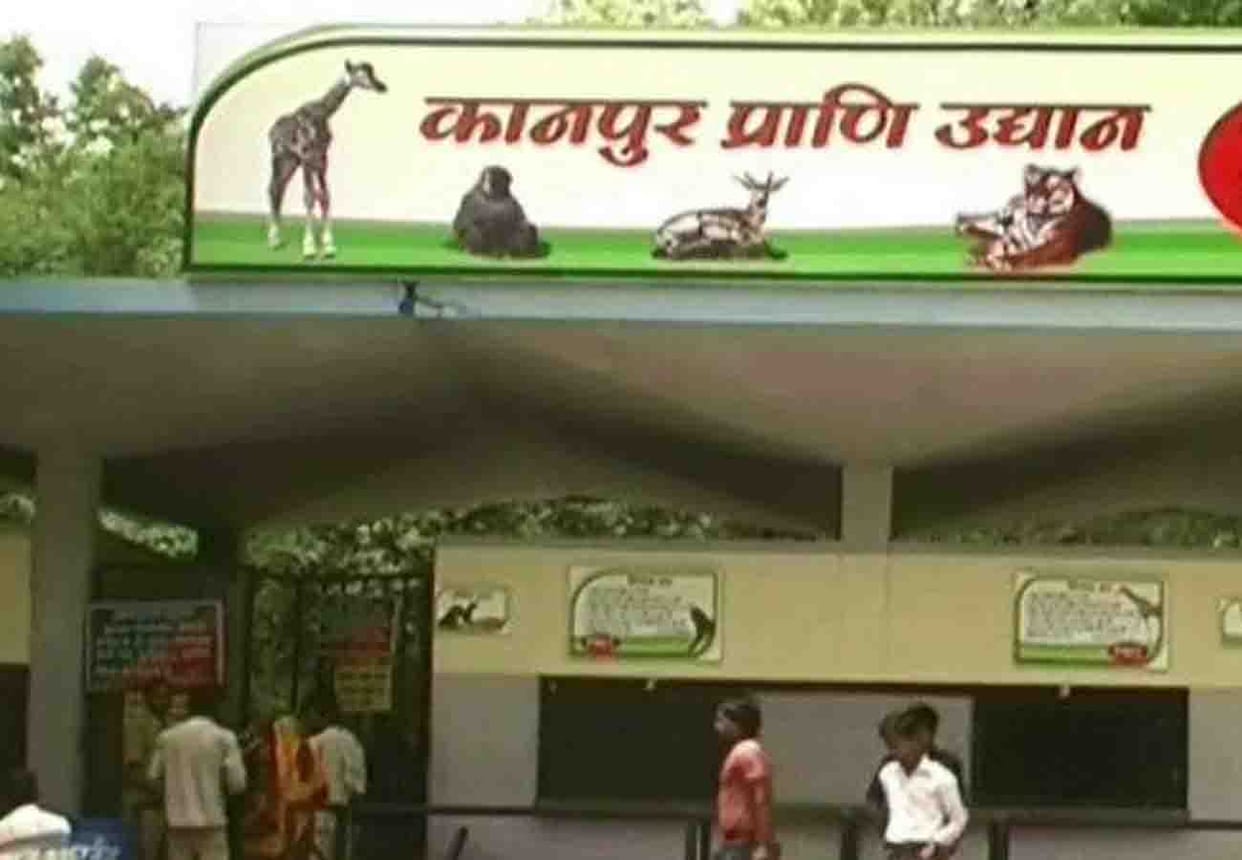 Colorful mountain butterflies will soon be seen in Kanpur Zoo
