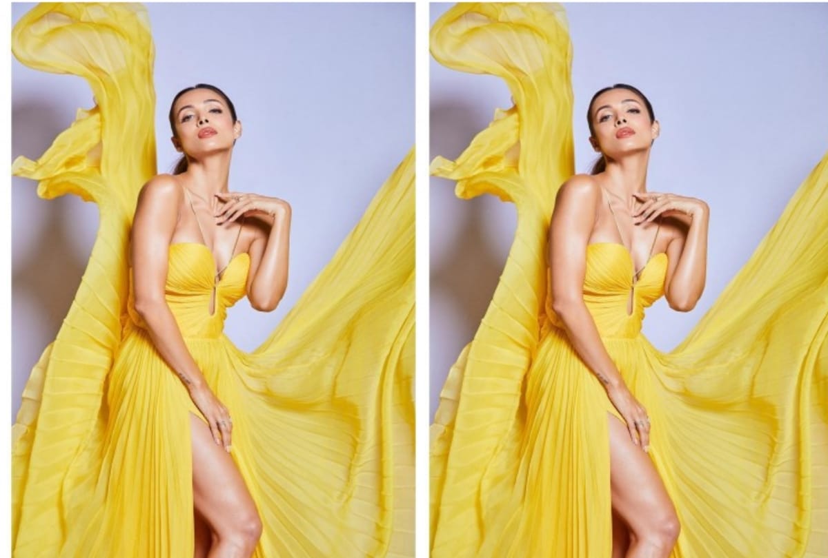 malaika arora trolled over boney kapoor fake instagram account comment