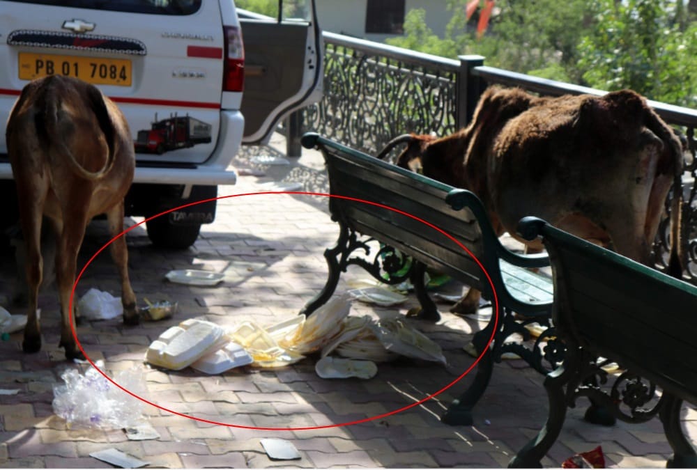 Fans angry on Mallika sherawat and crew members for spread garbage near Ganges 