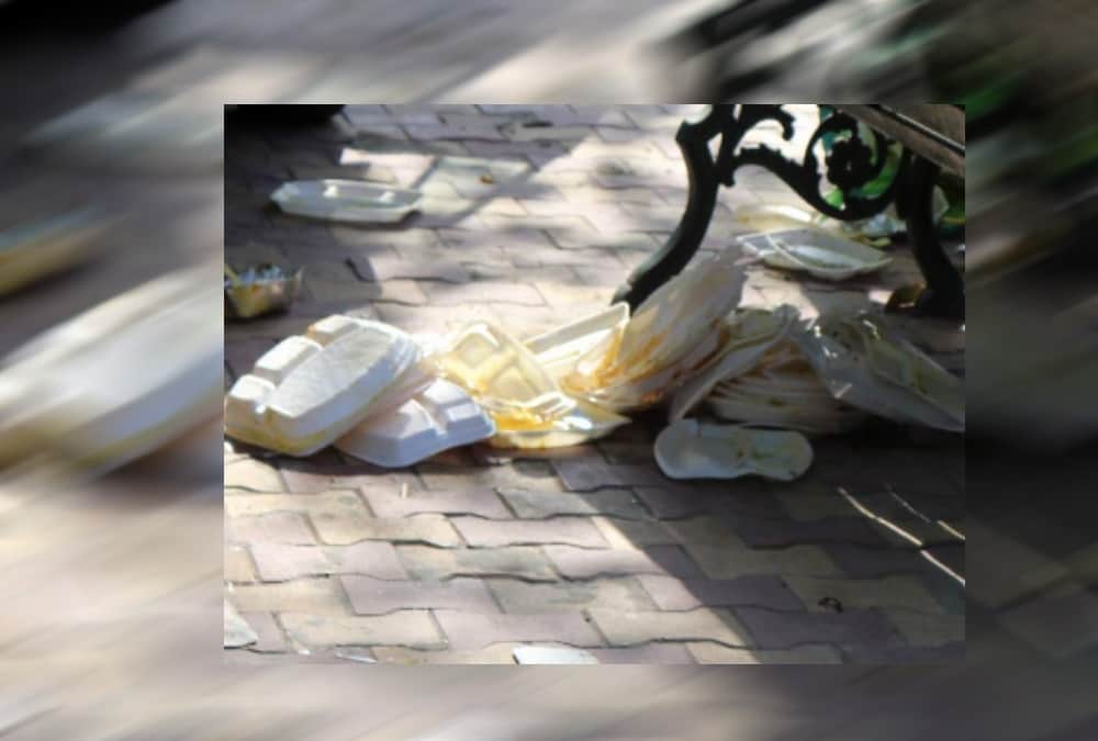 Fans angry on Mallika sherawat and crew members for spread garbage near Ganges 