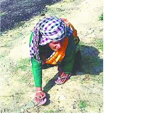Parwati faced problems to vote