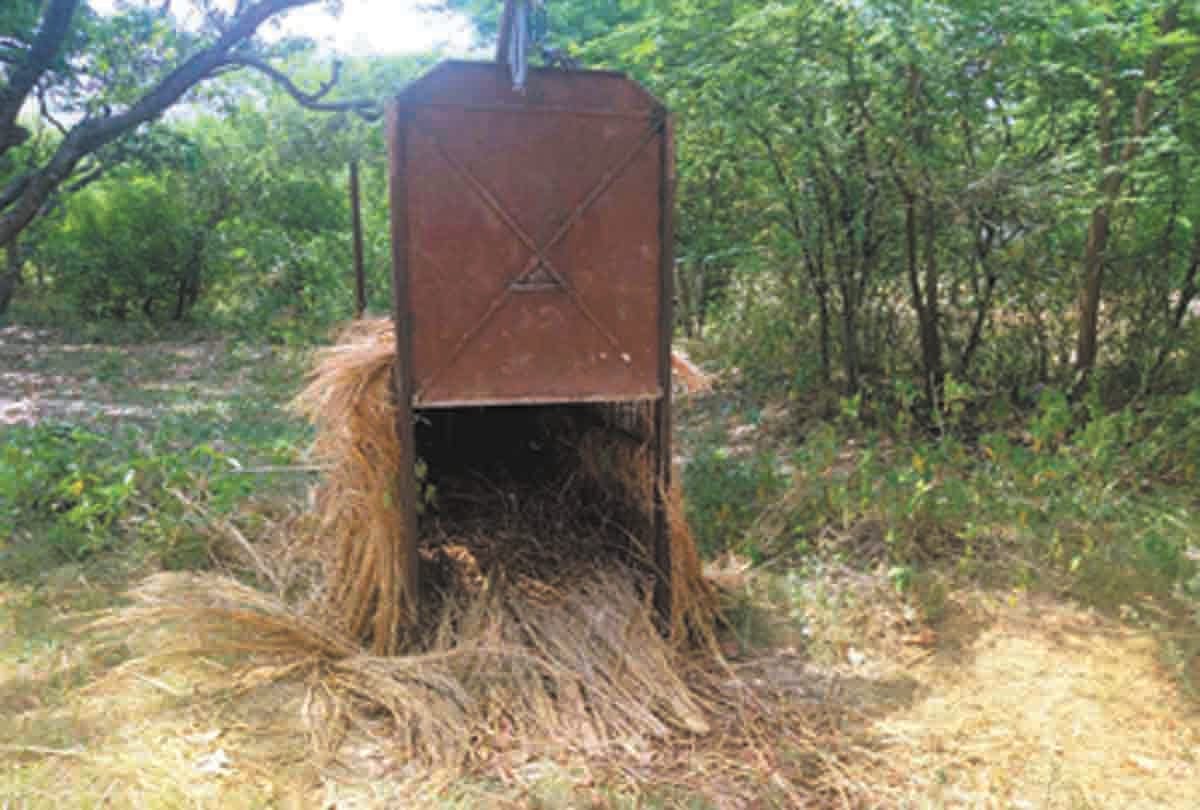 Pratapgarh: Leopard not found, returned forest department team