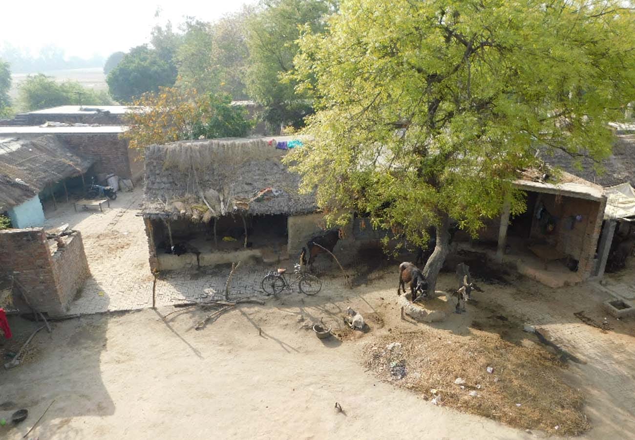 Amar Ujala Village Live and lok sabha election 2019