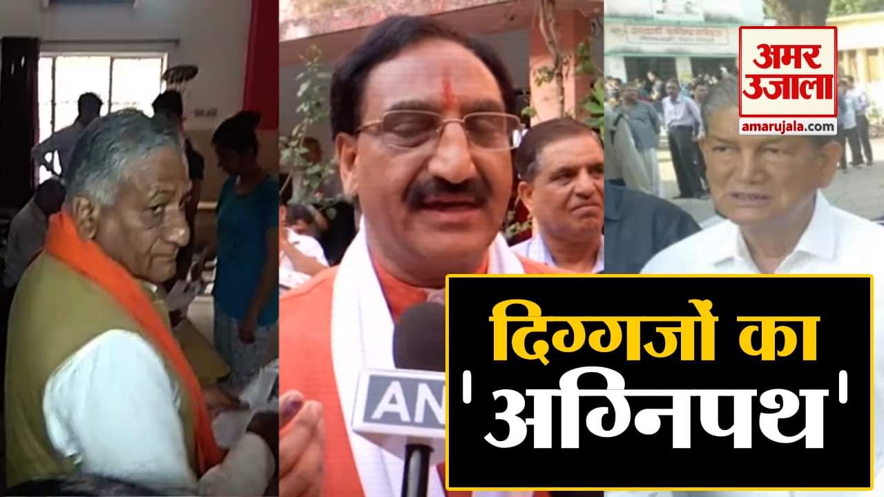 वोट इस्तेमाल