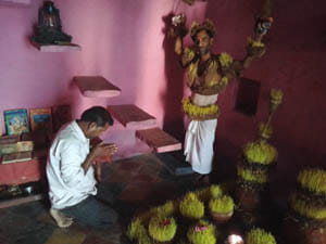devoti planting himselff