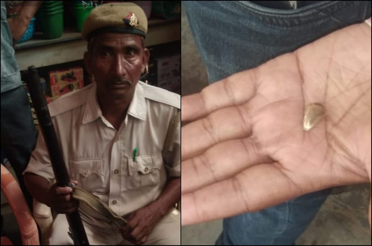 Homeguard rifle injured to rojgar sevak in chandauli