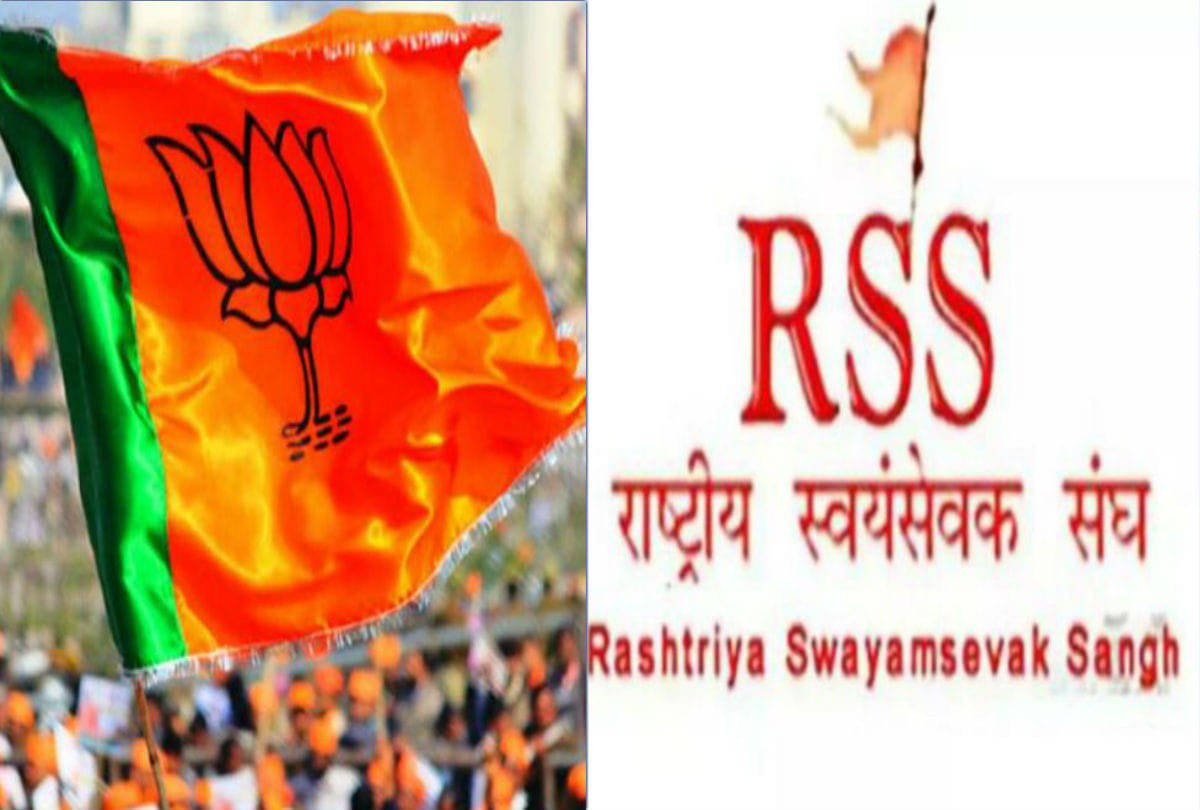 lok sabha elections 2019 RSS made strategy for bjp