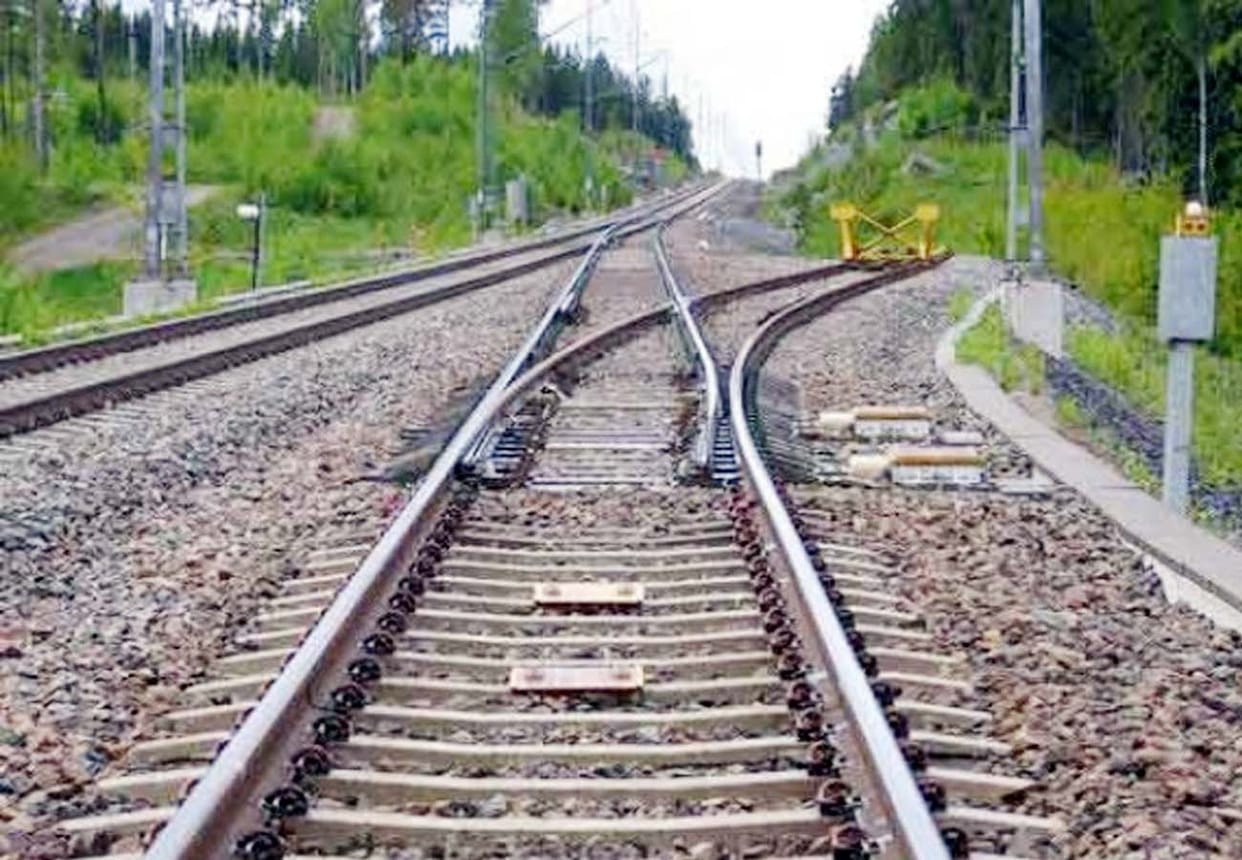 husband committed suicide after wife's death
