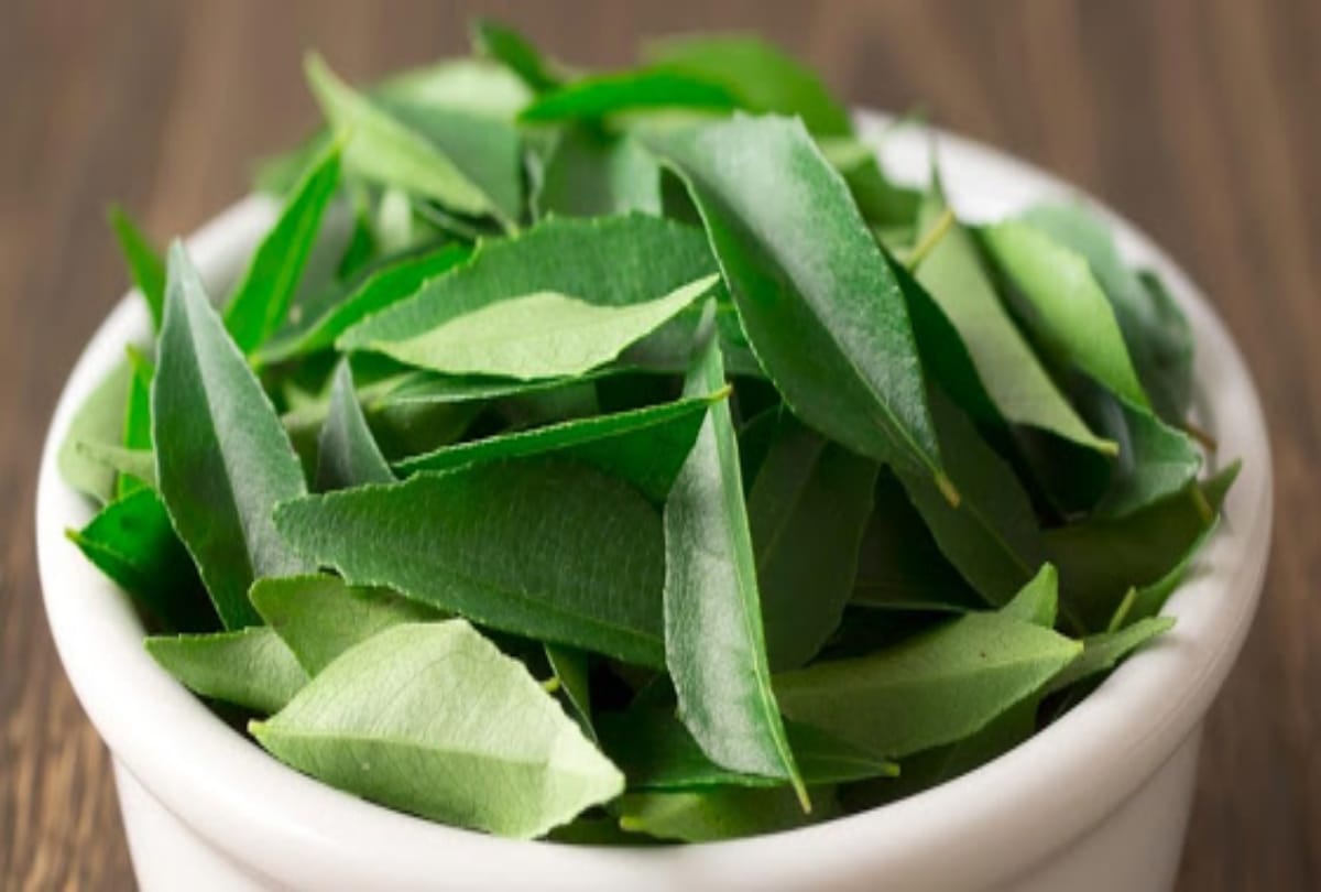 5 tasty chutney recipe can make you healthy
