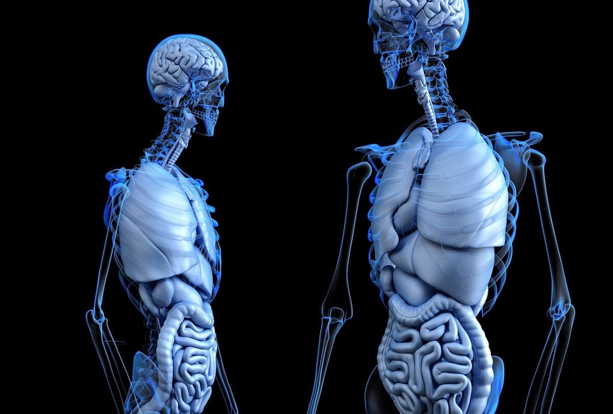 Man heart is at right side and liver at left side in body