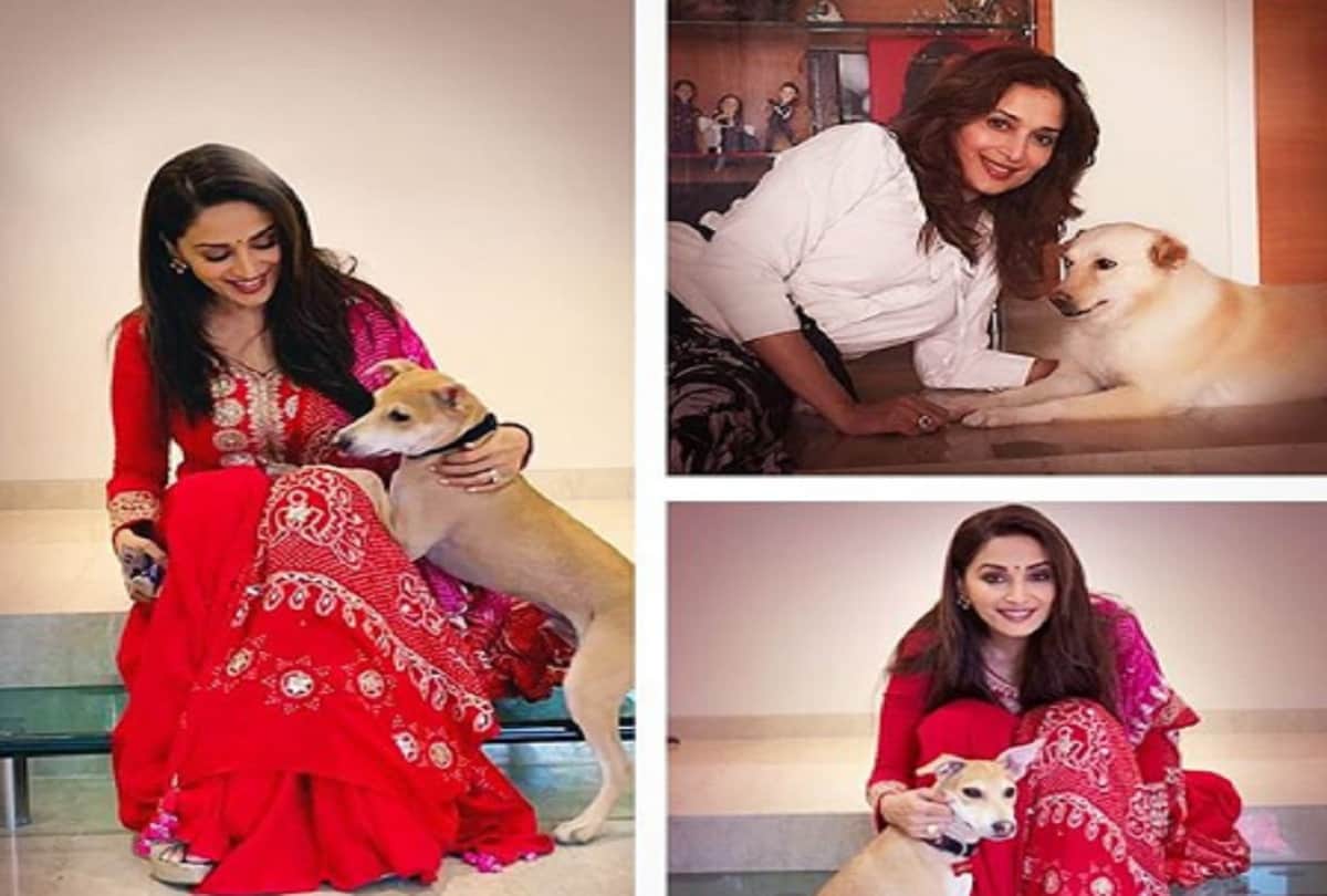 bollywood stars wished madhuri dixit on her 52th birthday