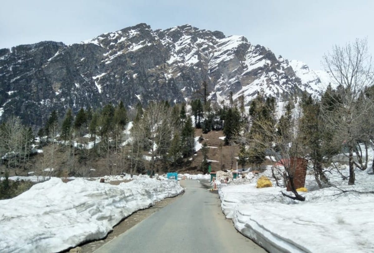 ruckus in gulaba manali by tourists from Gujarat