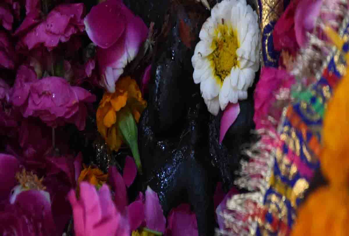 special story of Chaitra navratri 2019