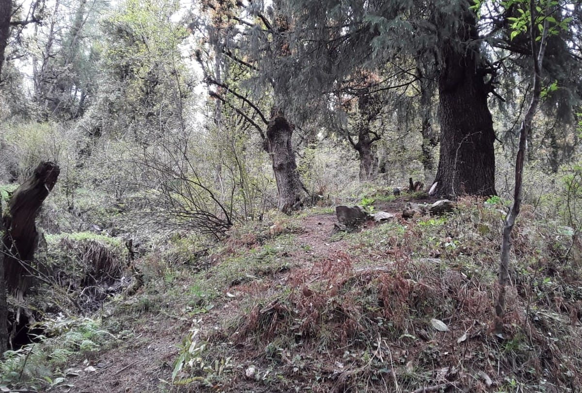 Cast discrimination on Shamshan ghat cremation ground in Kullu Himachal Pradesh